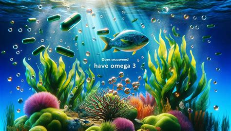 does seaweed have omega 3